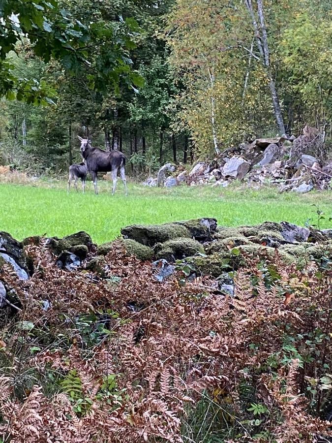 Naturnaera Hus Utanfoer Reftele Naerhet Till Isaberg Och High Chaparral Villa Luaran gambar