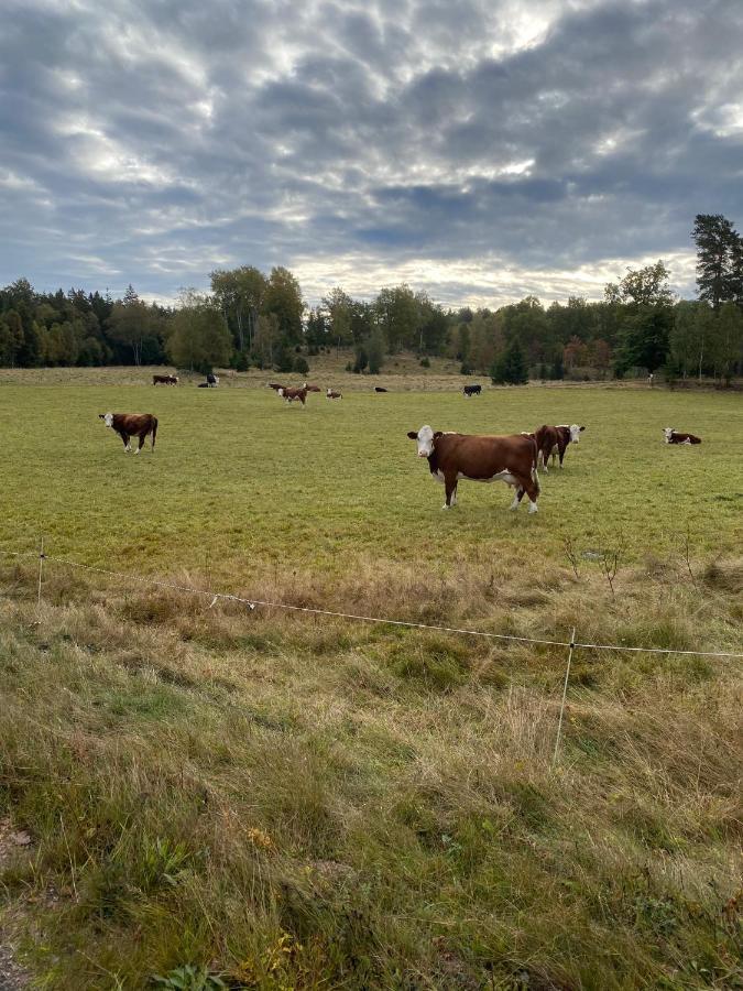 Naturnaera Hus Utanfoer Reftele Naerhet Till Isaberg Och High Chaparral Villa Luaran gambar