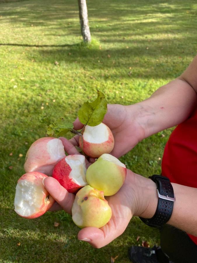 Naturnaera Hus Utanfoer Reftele Naerhet Till Isaberg Och High Chaparral Villa Luaran gambar